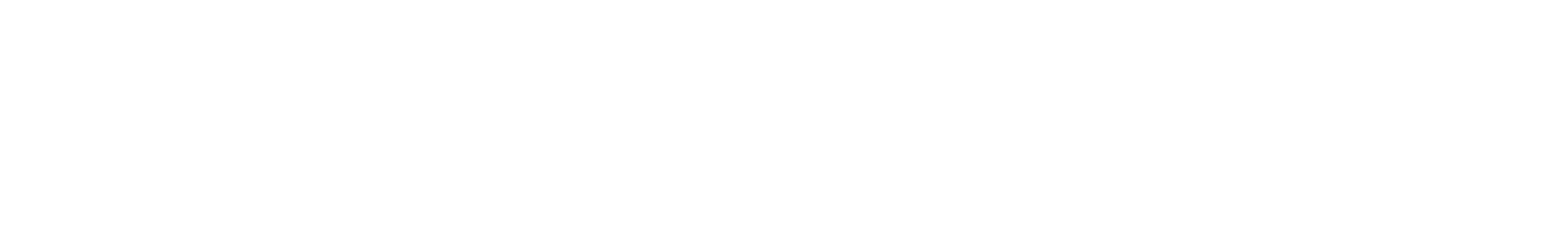 ZEAL LINK